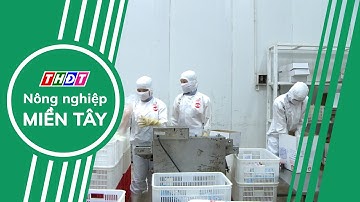 Cần nghiên cứu kỹ thị trường khi xuất khẩu sang EU | Nông nghiệp Miền Tây