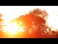 Sun Sleeping At Last Micro Music Video mp3