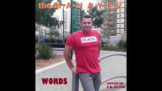 the Manayev - Words (cover of F.R. David)