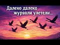 Далеко далеко журавли улетели COVER