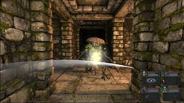 Legend of Grimrock part 2 Snails and Spiders and Bats, Oh My!