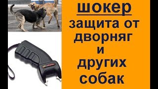 На вашу собаку нападают? защита от дворняг и других собак - Шокер законно На вашу собаку нападают? защита от дворняг и других собак - Шокер законно