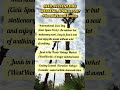 Events This Weekend April 24-April 26 In The Phoenix Valley
