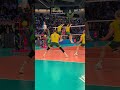 📺 Watch the CEV Champions League Volleyball LIVE on EuroVolley.TV #cev #volleyball #clvolley