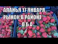 МОРЕ КЛУБНИКИ 17 ЯНВАРЯ РЫНОК В ОБА АЛАНЬЯ ТУРЦИЯ