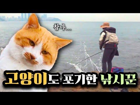 [손맛탱]&amp;#39;낚시 좀 해봤다&amp;#39;하면 꼭 일어나는 <strong>사건</strong>/<strong>비</strong> 오기 전 구멍찌 바다낚시