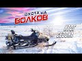 охота на волков!итоги сезона.ВСЕ ВЫСТРЕЛЫ !!!