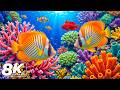 Ocean 8K ULTRA HD 🐟 Coral Reefs, Tropical Fish, Relaxing Music for Deep Sleep