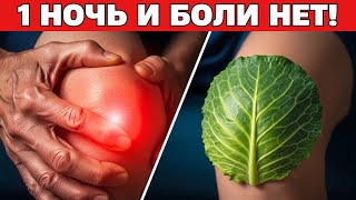 картинка: СУСТАВЫ КАК В 20 ЛЕТ! Военный врач показал, как приложить лист капусты, но только ТАК