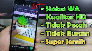 Cara Membuat Status WA Kualitas HD, Tidak Pecah dan Tidak Buram