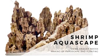 Shrimp Aquascape Using Dragon Rocks  Making of the hardscape and planting