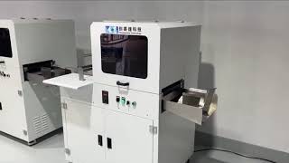 CSJ210F Digital Paper Cup Fans Printing Machine