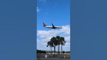 Delta Airlines 737 landing at Miami International Airport #shorts