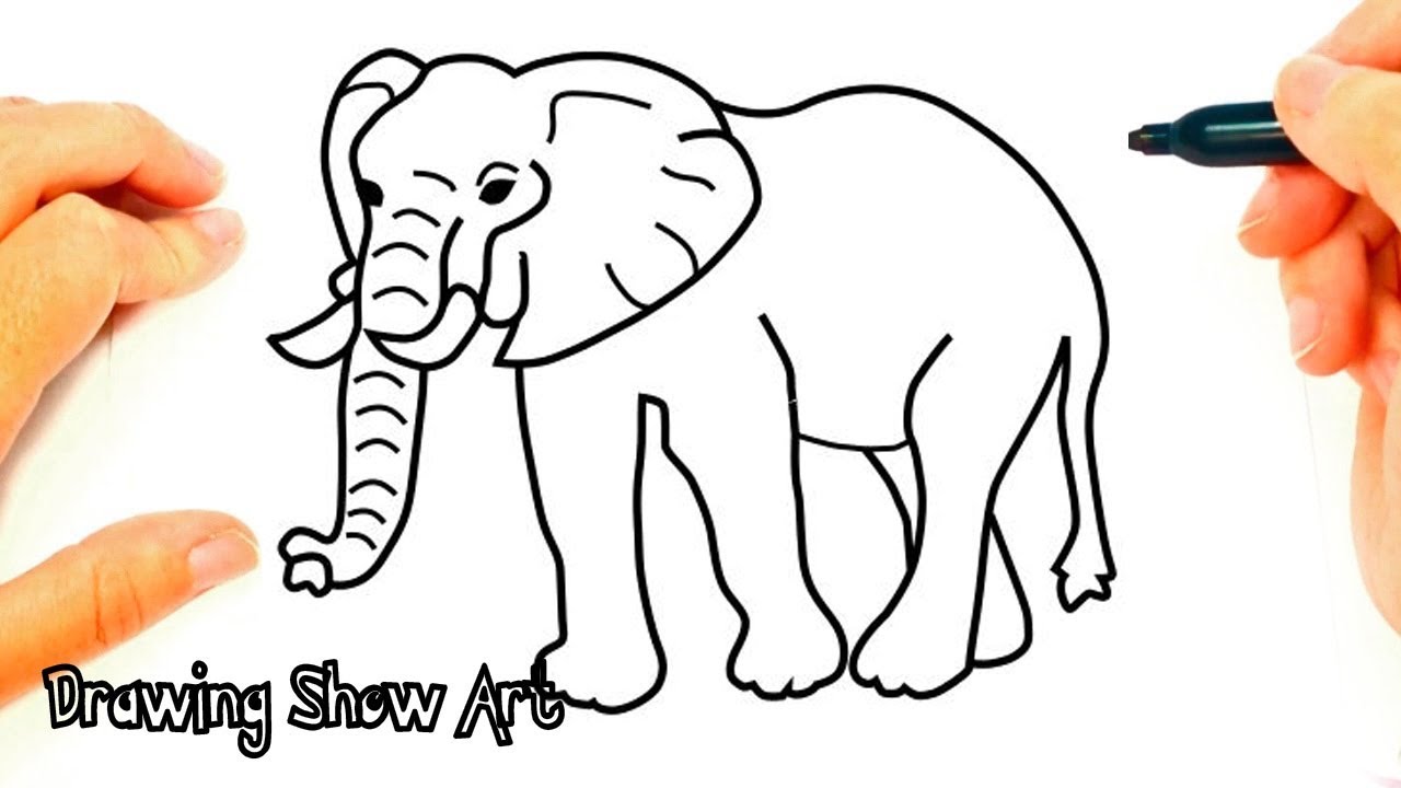 How to draw Elephant easy step by step-drawing show art - YouTube