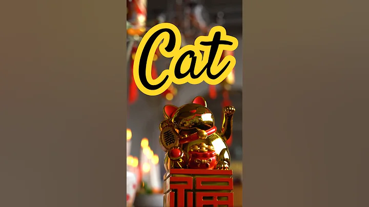 Video 9814041: japanese bobtail, cat japan, calico