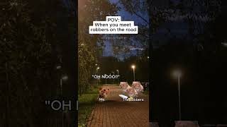 CAT MEMES 🐱 When you meet robbers on the road #catmemes #relatable #relationship