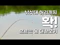 붕어낚시, 안성천 대 끝보기로 마릿수 붕어를 만나다!  Kkeutbogi crucian carp fishing at flowing river in South Korea