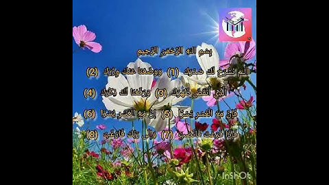 سورة الشرح. الم نشرح لك صدرك.. الشيخ الداعية صدام العماد