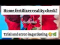 Home fertilizer|magic… അല്ല, mistake|adenium|orchidaisle