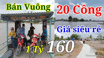 Dẫn Khách Đi Xem ĐẤT VUÔNG TÔM CÀ MAU Tới Năm Căn 20 Công Bán Giá Rẻ 1 Tỷ 160 Và Cái Kết