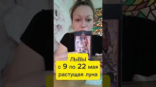 Львы с 9 по 22 мая, растущая луна!#taro#таролог#тарорасклад#гаданиенакартах