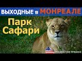 Парк Сафари - Выходные в Монреале, часть 2 - Park Safari