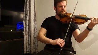 Video thumbnail of "Irish fiddle: Humours of Glendart"