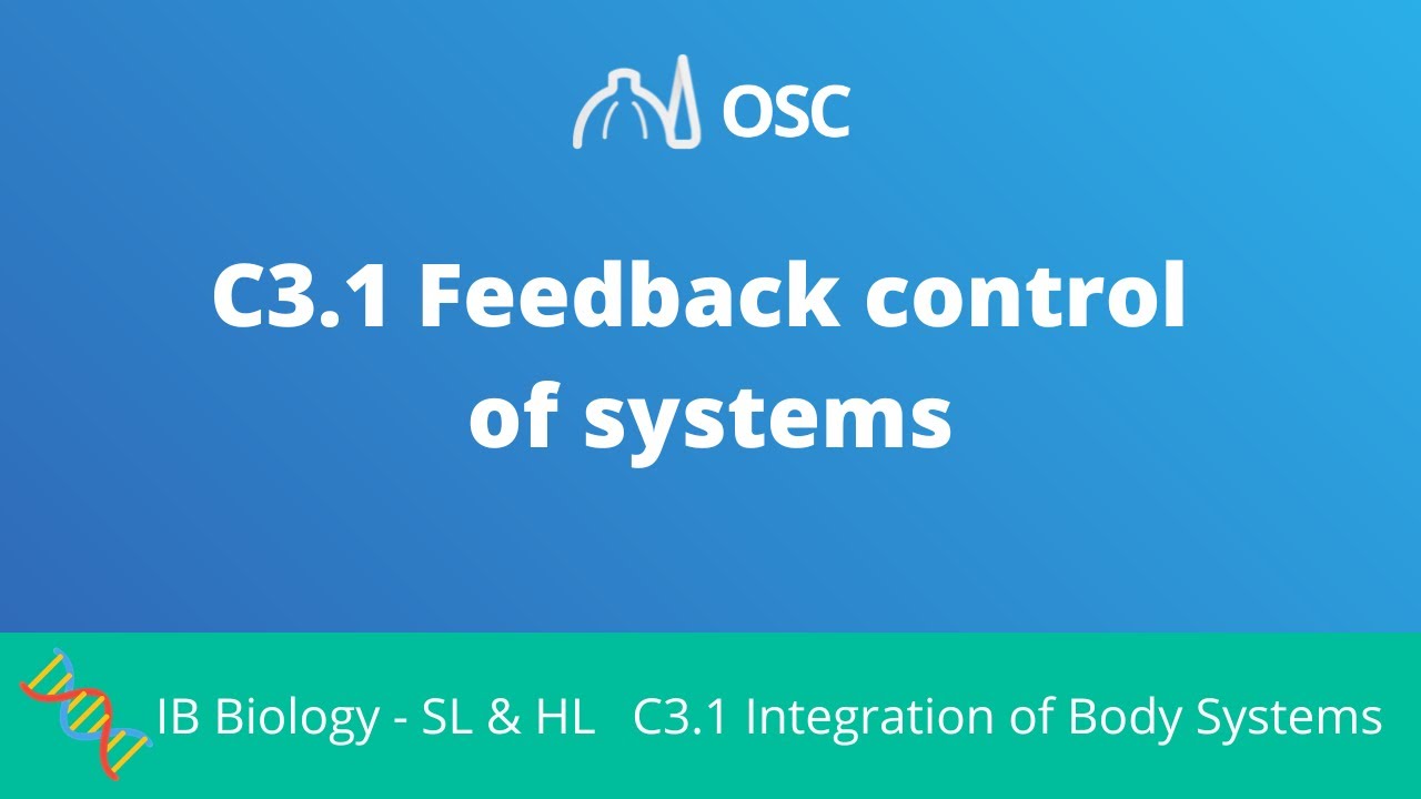 C3.1 Feedback Control [IB Biology SL/HL]