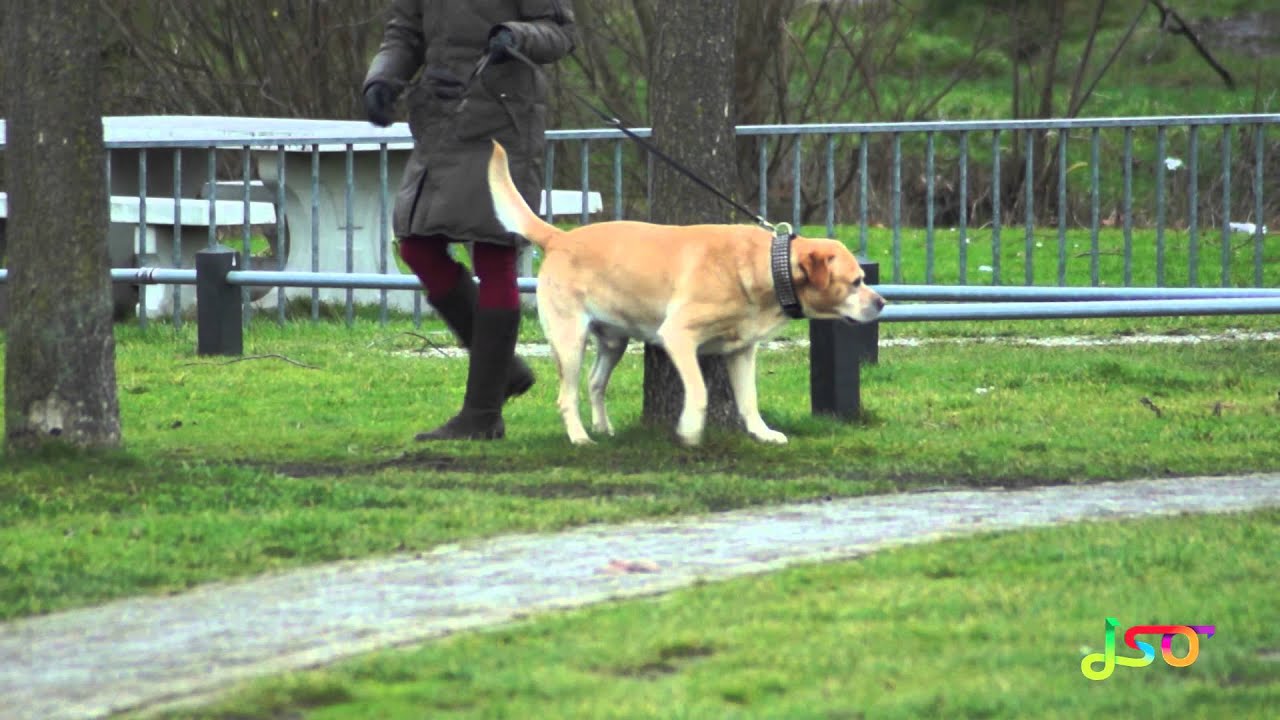 Wijkonderneming De Uitdaging in 3 minuten