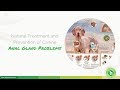 Anal Gland Problems in Dogs - Natural Anal Gland Treatment and Prevention | Dr. Peter Dobias