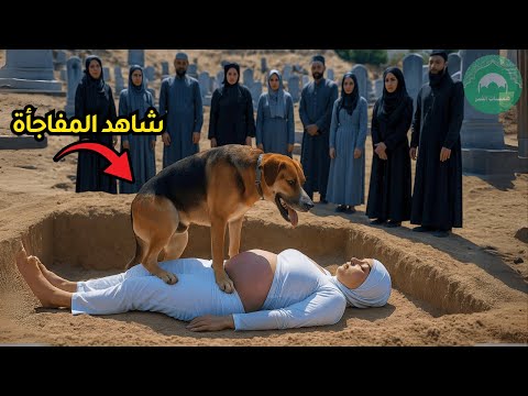 بعد دفن هذه الشابة المسلمة نبشت الكلاب قبرها وكشفت سر ا مرو ع ا قصص مؤثرةحكمة الشيخوخة