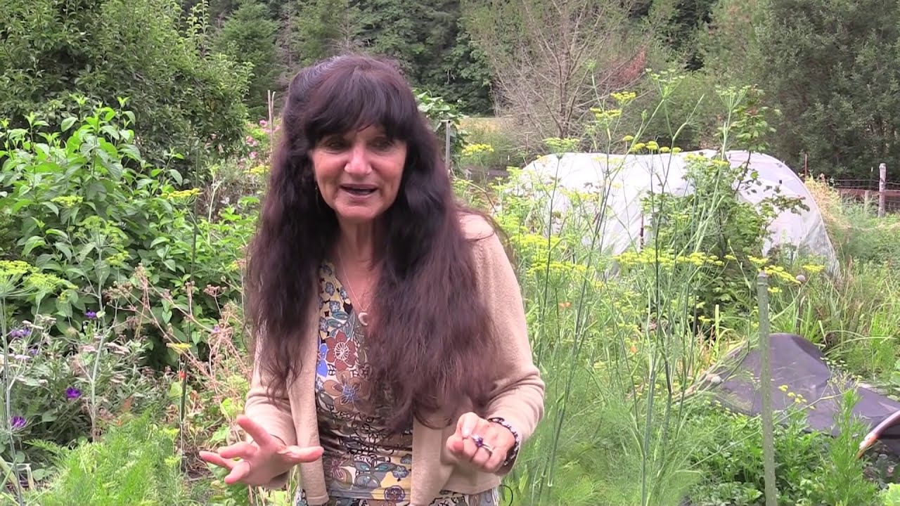 Where Is Rosemary Gladstar Now at Geier blog