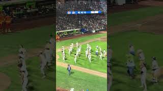 IMG 6268