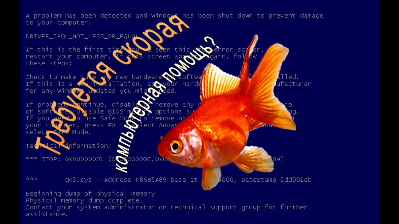 Скорая компьютерная помощь в Комсомольске-на-Амуре - YouTube