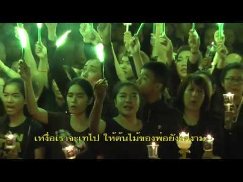 ประชาชนชาวกำแพงเพชรรวมใจกันร้อง เพลง ต้นไม้ของพ่อ