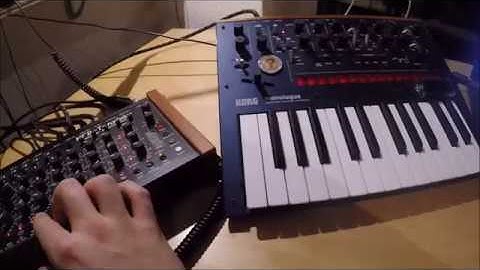 Techno Live Jam - Korg Monologue, MFB Tanzbär, Roland Vr 09
