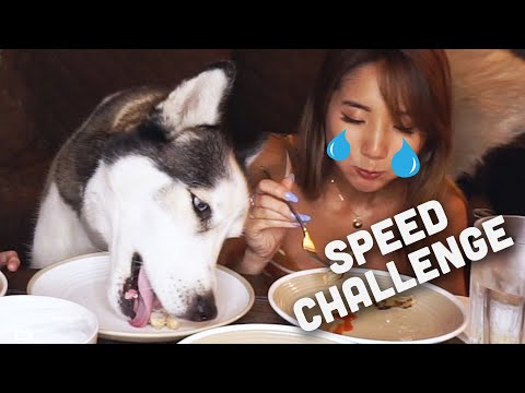 DOG vs. HUMANS Speed Eating Challenge! · YB vs. Food