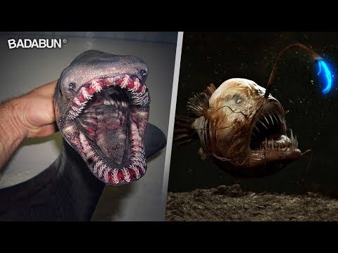 Vídeo: ¿Qué Tipo De Monstruos Viven En El Fondo Del Océano? - Vista Alternativa