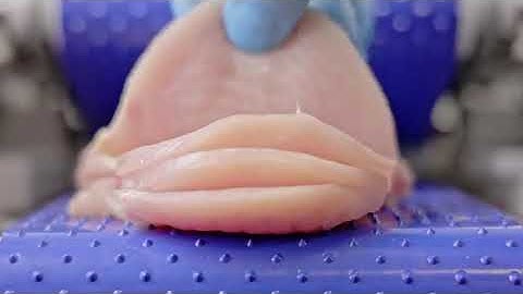 TP12 horizontal meat table top slicer