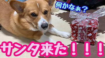 【次回予告】今朝クリスマスプレゼントが届きました。