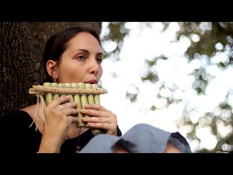 Vídeo: Com Fer Una Flauta De Bambú