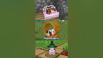 Hamsters are now in MINECRAFT!