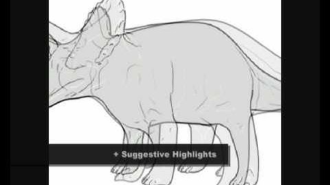 Suggestive Contours Thesis January 2010