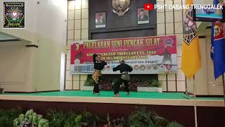 PENAMPILAN PENCAK SILAT SENI GANDA PUTRA PSHT CABANG TRENGGALEK
