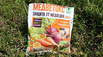 Как эффективно уничтожить медведку на садовом участке.   Куда класть приманки