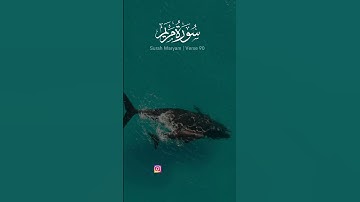 90-88 سورة مريم