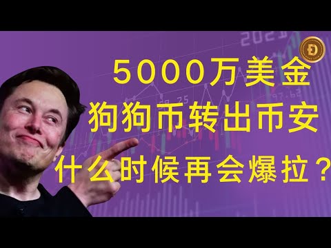 狗狗币 | doge币 | 比特币 | 最新行情走势分析！价值超5000万美金狗狗币大规模转出币安！背后真相揭秘，暴涨行情震荡中的秘密！