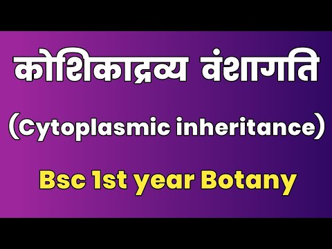 वीडियो: साइटोप्लाज्मिक इनहेरिटेंस में वर्ण संचरित होते हैं?