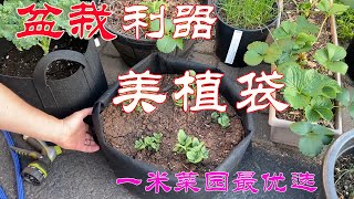 【渔耕笔记】种菜 | 美植袋 Fabric Pot 为什么那么好用？详解盆栽利器种植袋