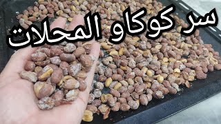 مشروع الزوالي الطريقة الصحيحة لتحميص الكوكاو المملح/الفول السودانيبواحد السر خباوه عليكم كامل ?